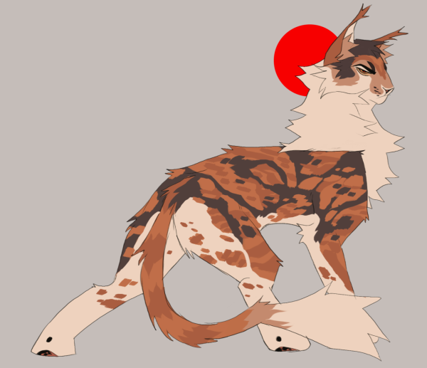 Сол коты Воители арт