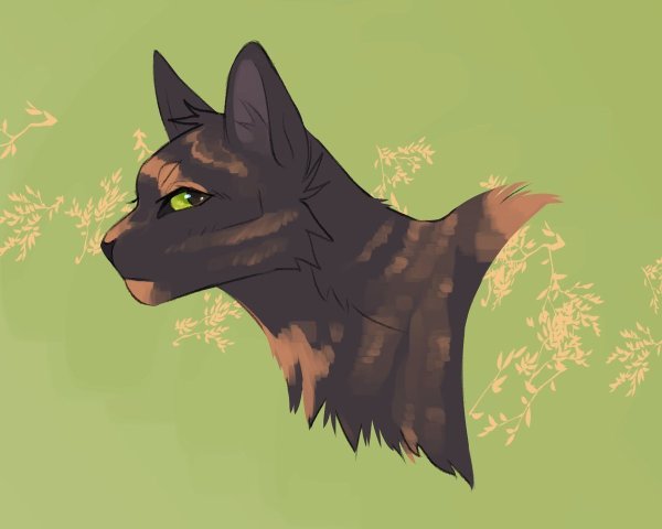 Коты Воители ежевика и Рыжинка