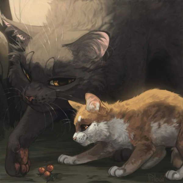 Коты Воители частокол и медянка