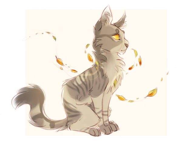 Finchwing референс коты Воители