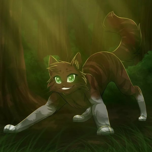 Коты Воители Warriors Cats