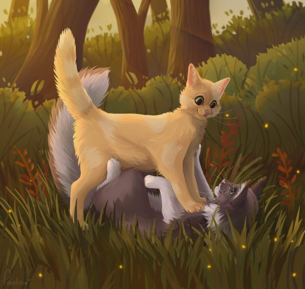 Коты Воители оруженосцы