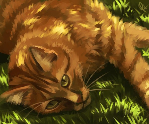 Рыжий кот арт коты Воители