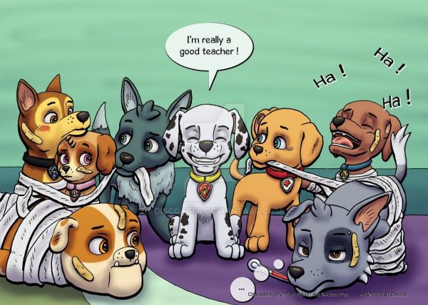 Щенячий патруль гонщик и Скай комиксы