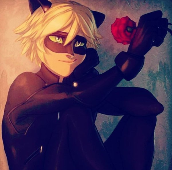 Кот Нуар арт