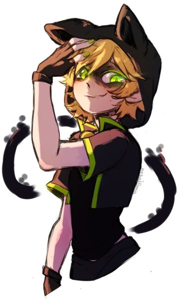 Леди баг и супер кот кот Нуар