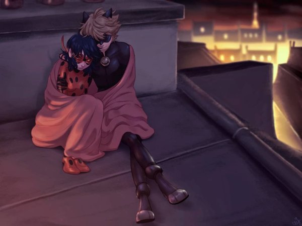 Леди баг и кот Нуар