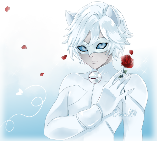 Кот Блан леди баг