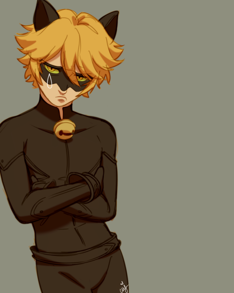 Феликс Агрест кот Нуар