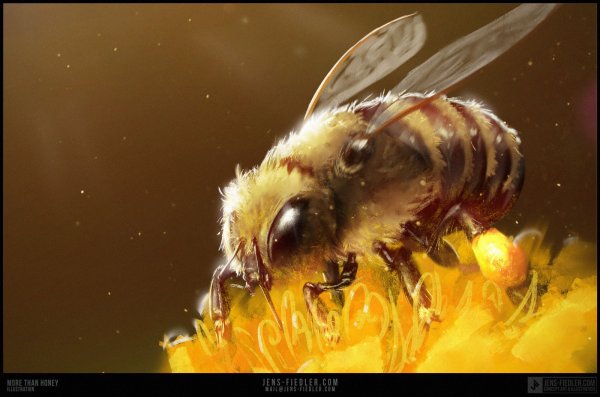 Пчелы арты