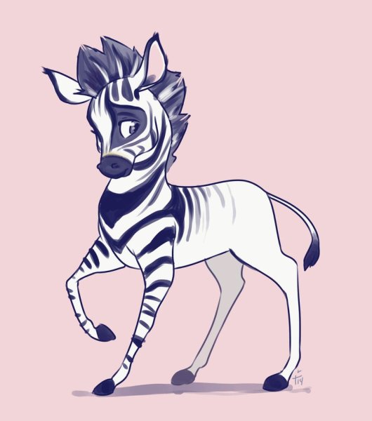 Кумба наполовину Зебра