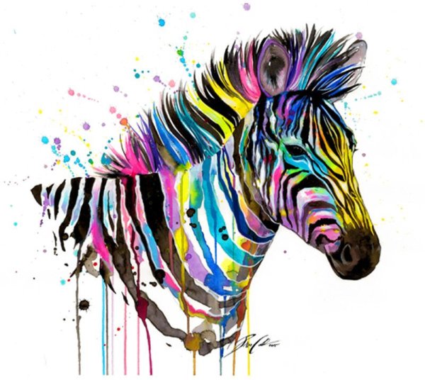 Радужные зебры