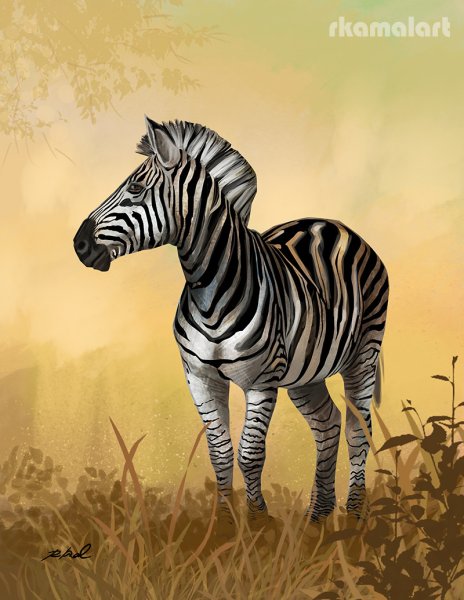 Крутая Зебра