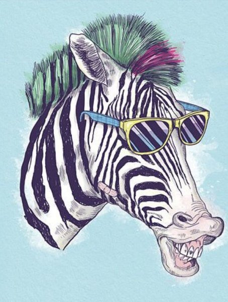 Зебра в очках