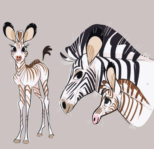 Зебра скетч