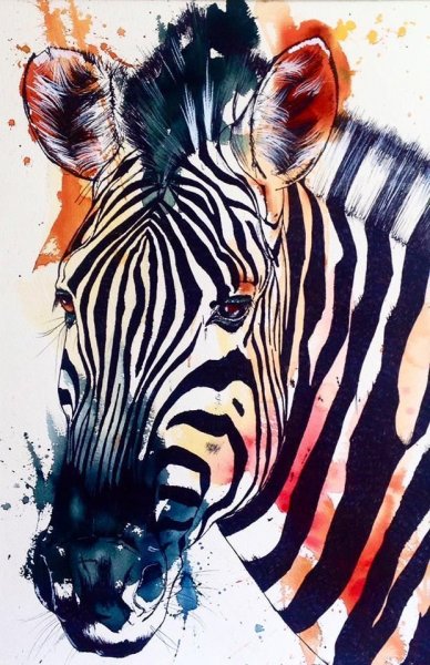 Зебра акварелью