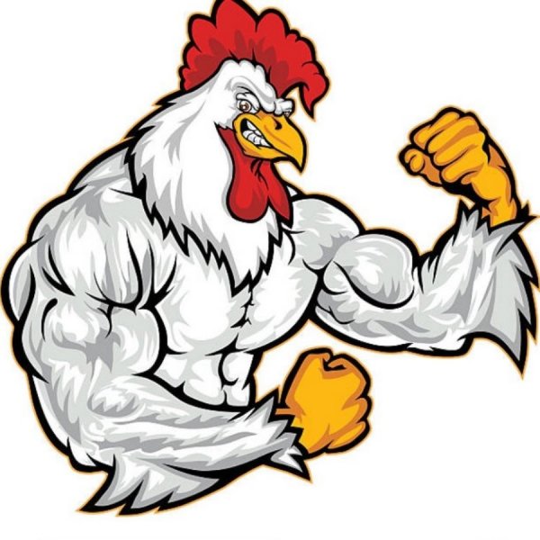 Мускулистая курица