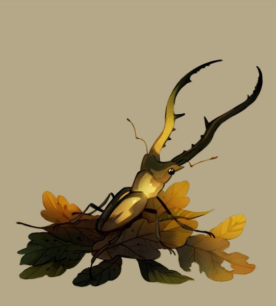 Девушка Жук арт