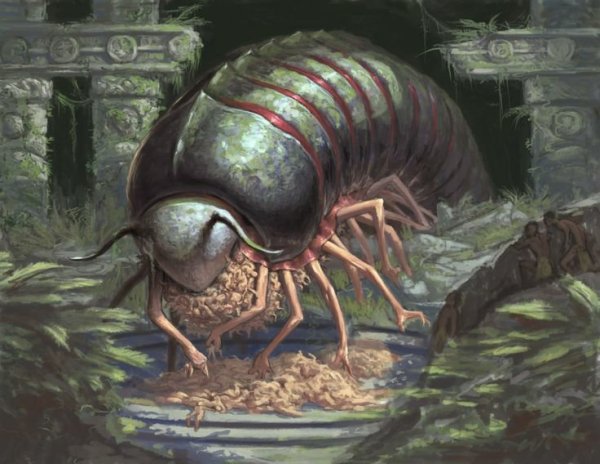 Фэнтези насекомые