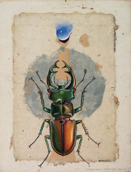 Мирмекс Жук арт