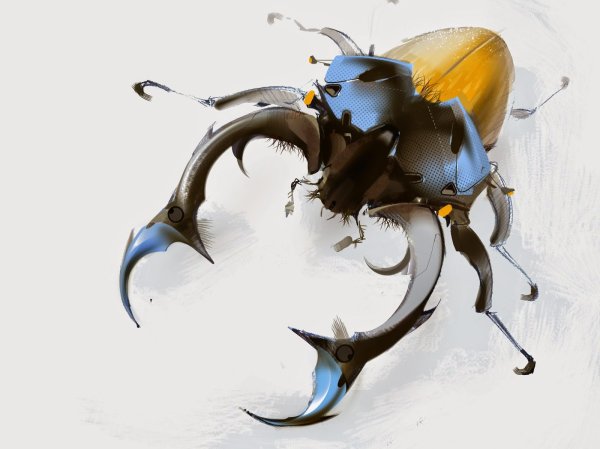 Фантастические жуки