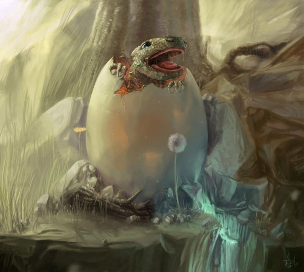 Яйцо дракона