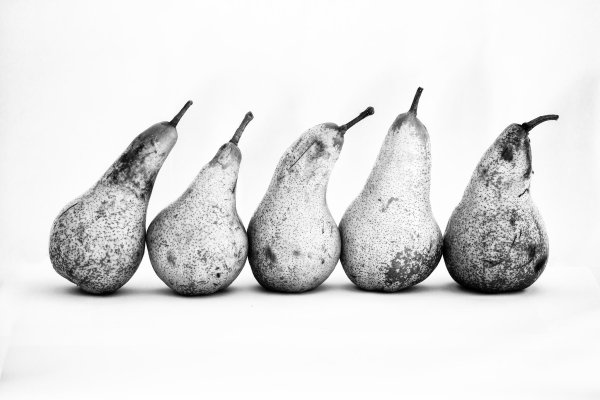 Груша арт
