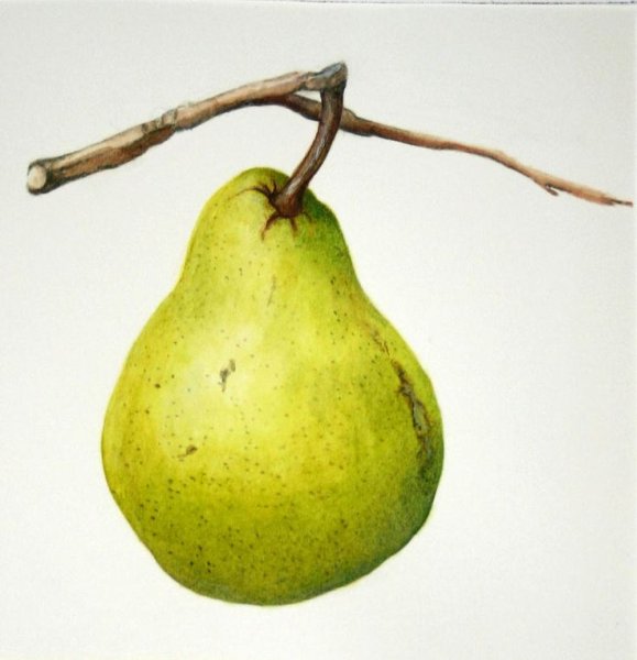 Груша арт