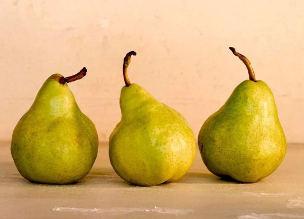 Груша референс