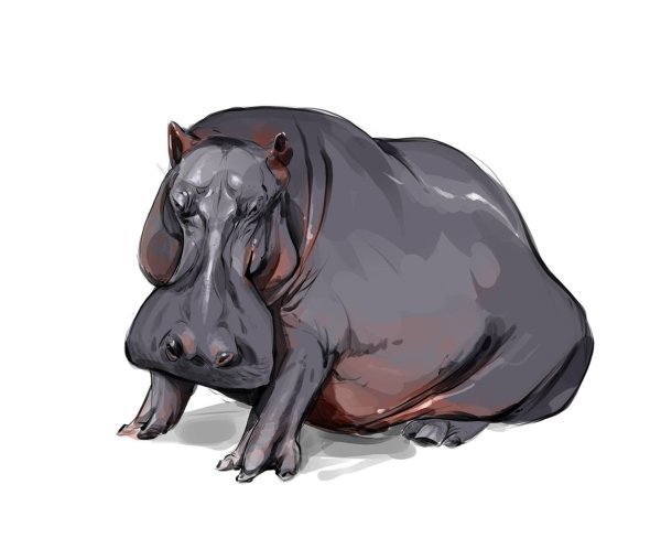 Бегемотик арт