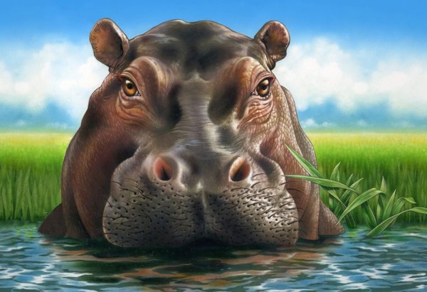 Бегемот живопись