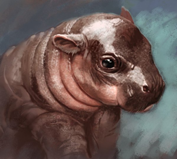 Милый Бегемотик арт