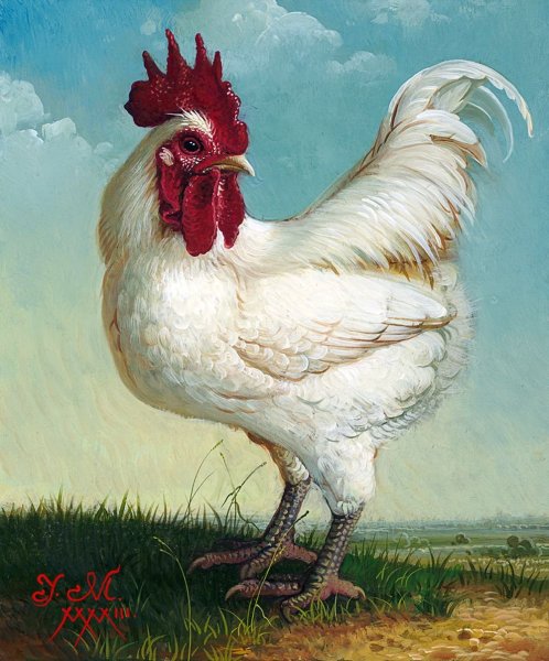 Петух и Курочка