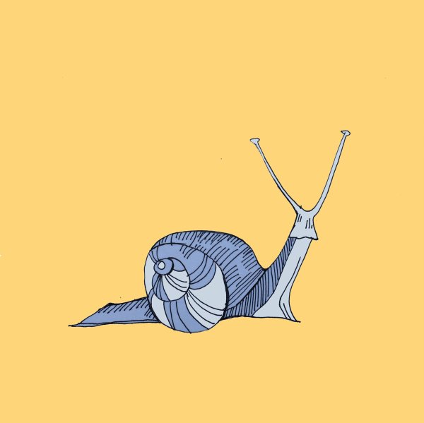 Улитка арт