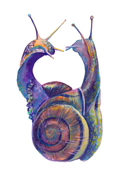 Улитка в искусстве