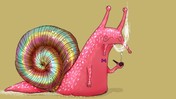 Улитки картинки прикольные