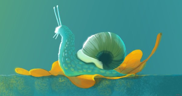 Милая улитка арт