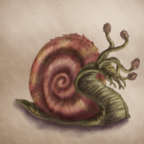 Улитка арт