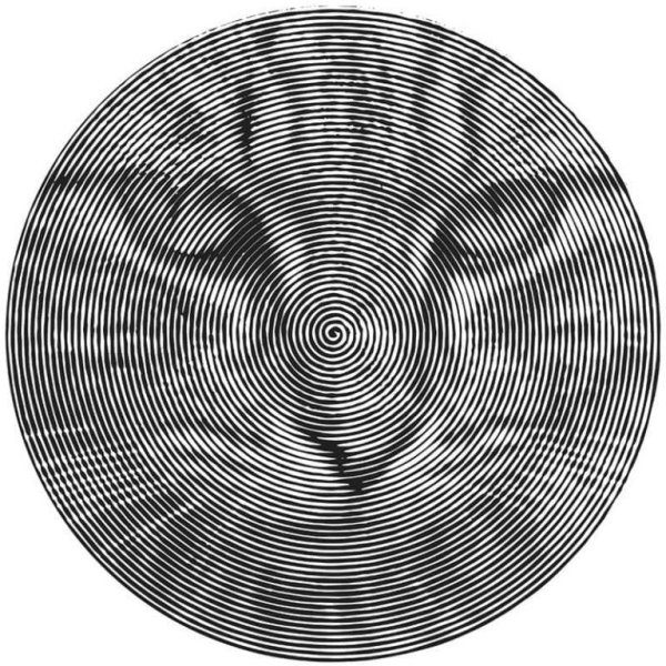 Spiroglyphics БТС