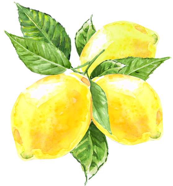 Фрукты акварелью