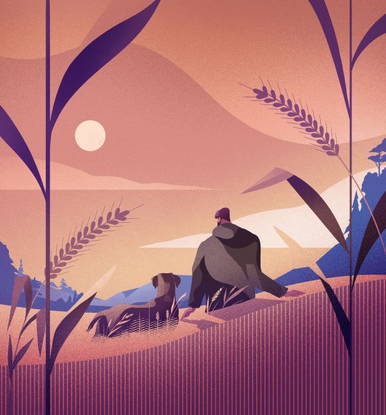 Иллюстрации в иллюстраторе