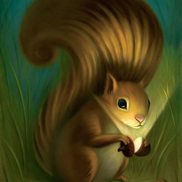 Белка рисунок