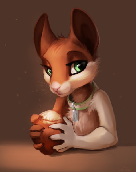 Фурри белка