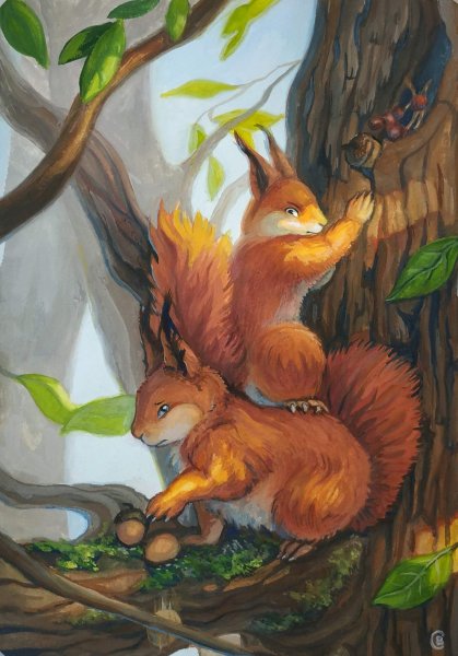 Белка аниме