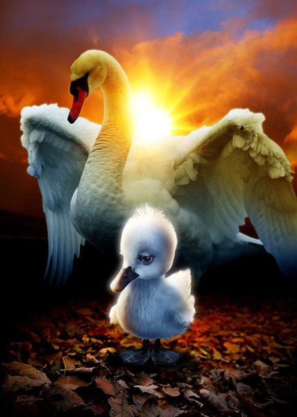 Гадкий утенок