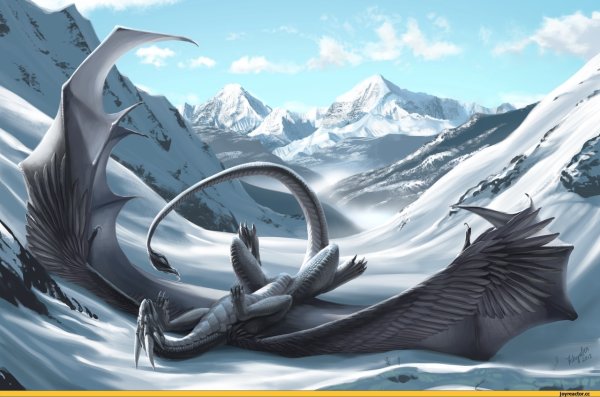 Аэсоннэ драконица