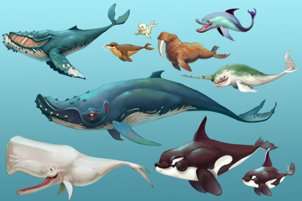 Киты МЕГАЛОДОН hungry Shark World