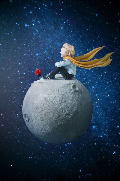 Маленький принц 2016