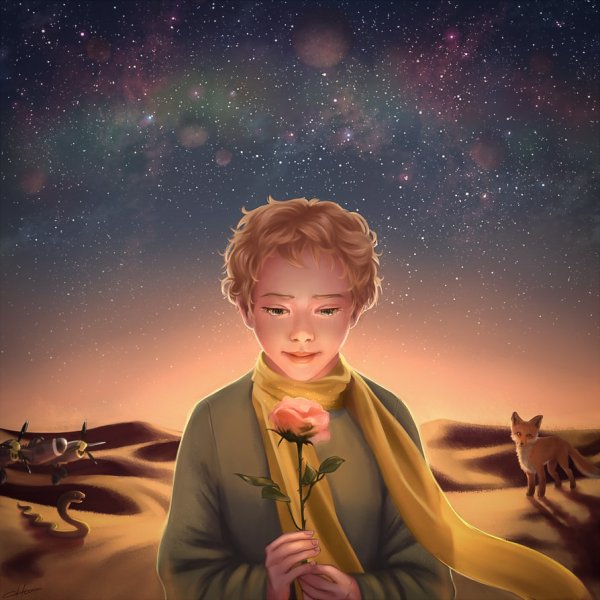 Маленький принц le petit Prince 2015