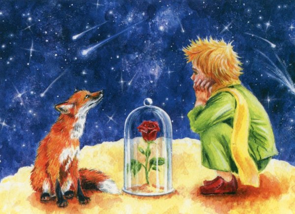 Маленький принц Лис и роза